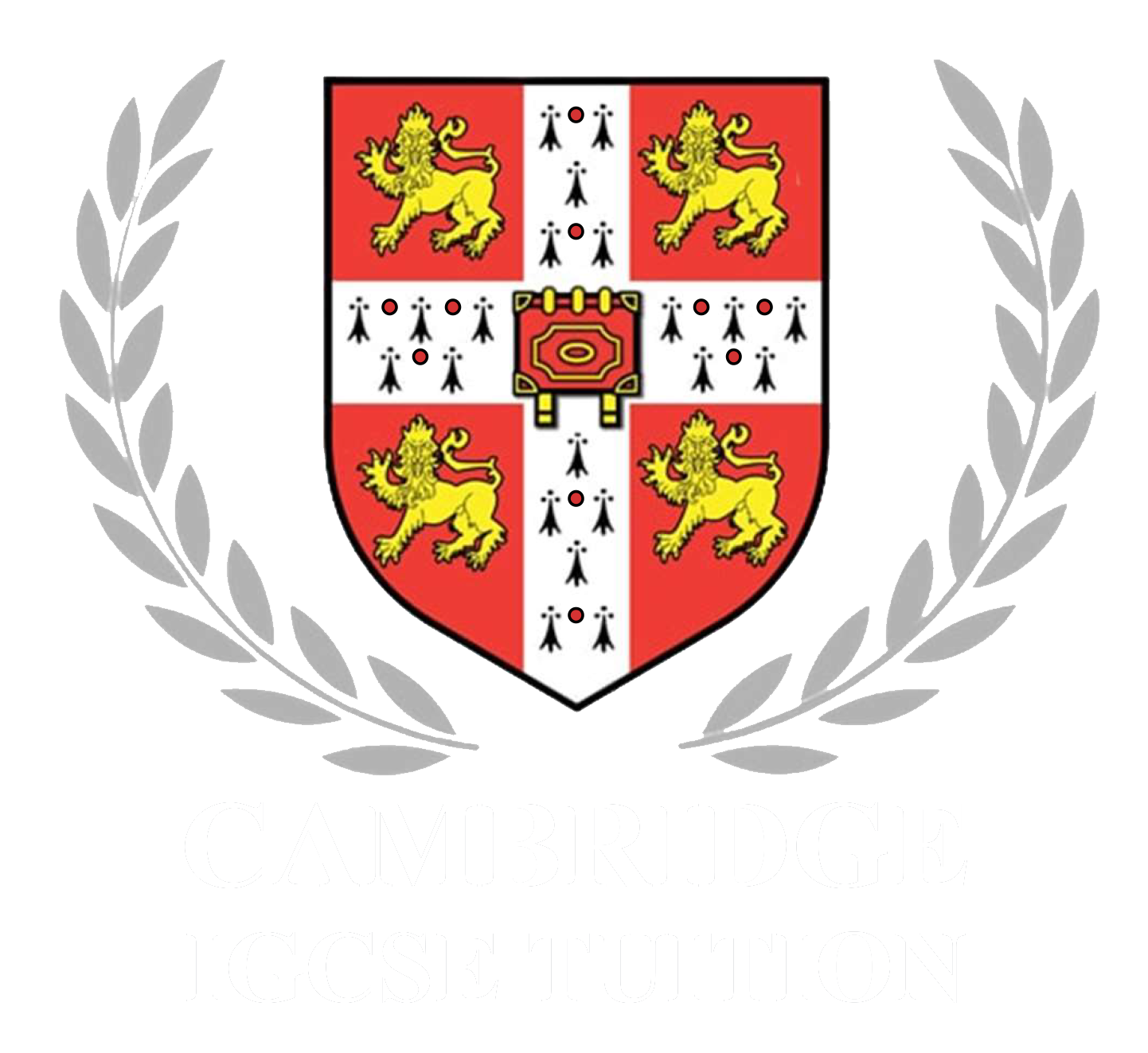 cambridge-primary-english-archives-igcse-tuitions